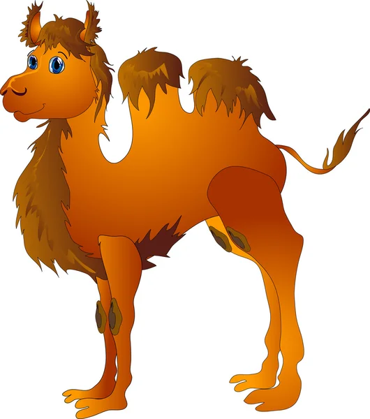 Cartoon kameel — Stockvector