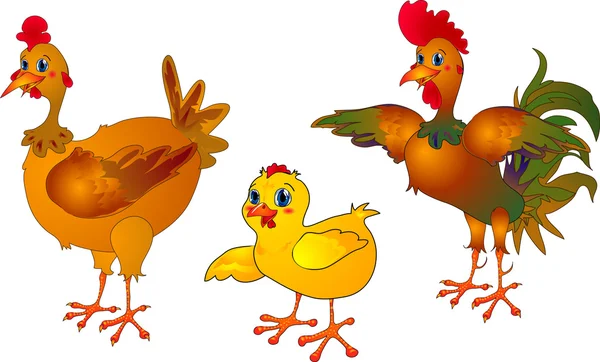 Poulet, poule et bite — Image vectorielle