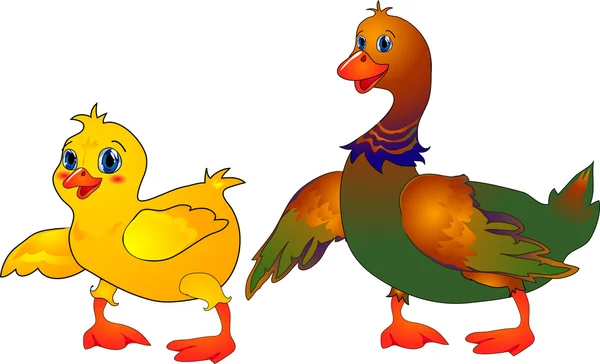 Cartoon duck & duckling — Stock Vector