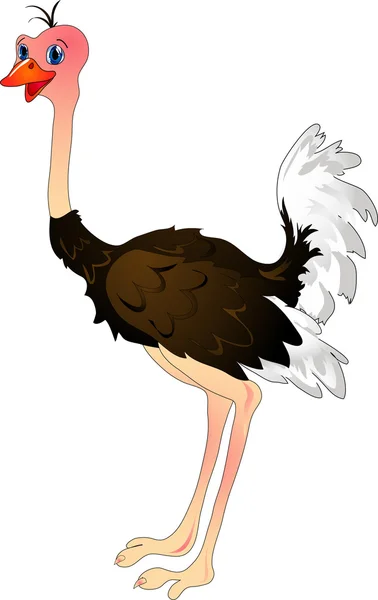 Cartoon ostrich — Stock Vector