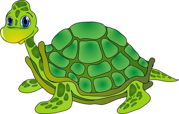 Tortuga de dibujos animados — Archivo Imágenes Vectoriales