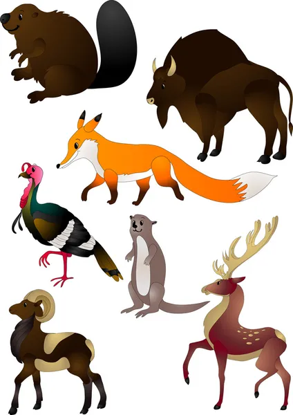 Cartoon animals vector — Stock Vector