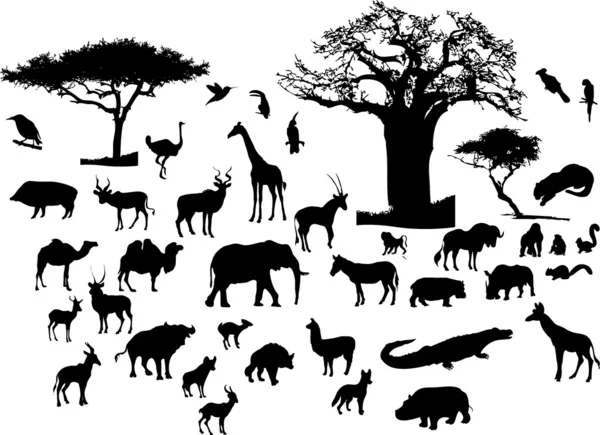 Afrikaanse dieren — Stockvector