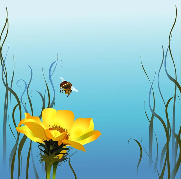 Bumblebee & flower — Stock Vector