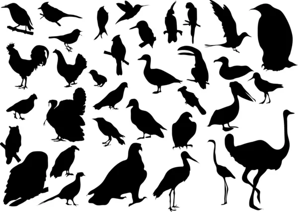 Птицы — стоковый вектор