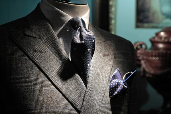 Grijze geruite jas, donker blauwe stropdas en handkerchiefgrey controleren — Stockfoto