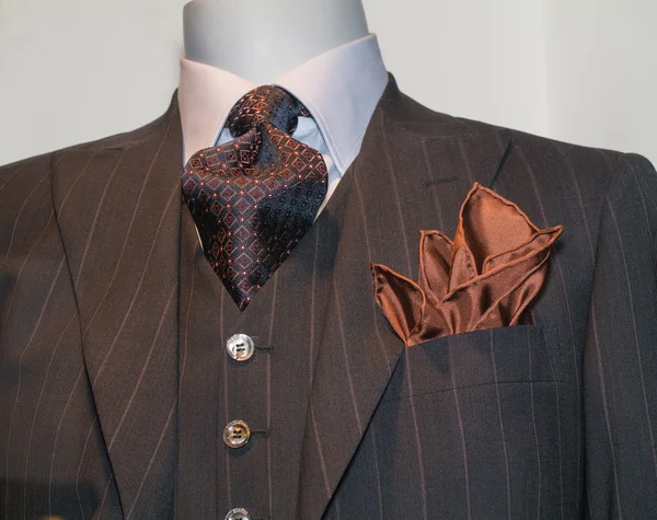 Chaqueta de rayas marrón oscuro, corbata estampada y pañuelo de Tan (H — Foto de Stock