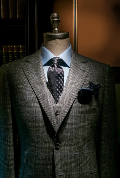 Casaco xadrez & Oeste com camisa azul e gravata (Vertical ) Fotografias De Stock Royalty-Free