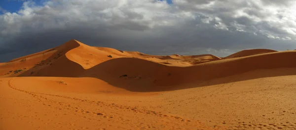 Erg Chebbi Merzouga — Fotografia de Stock