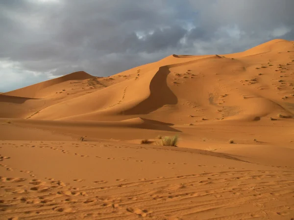 ERG African merzouga