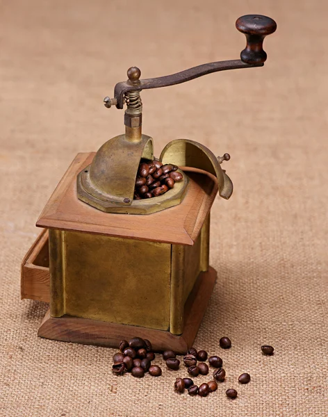 Coffee grinder — Stock Photo, Image