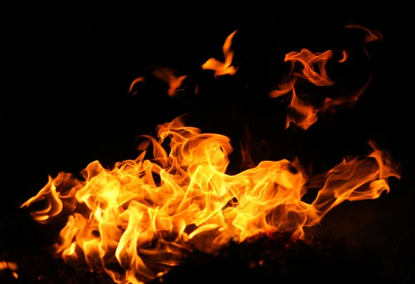 Fire flames — Stock Photo, Image