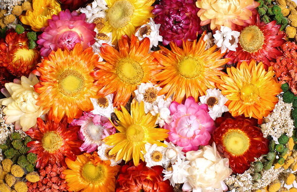 Dried flowers