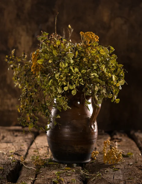 Bodegón con ramas secas de arándanos —  Fotos de Stock