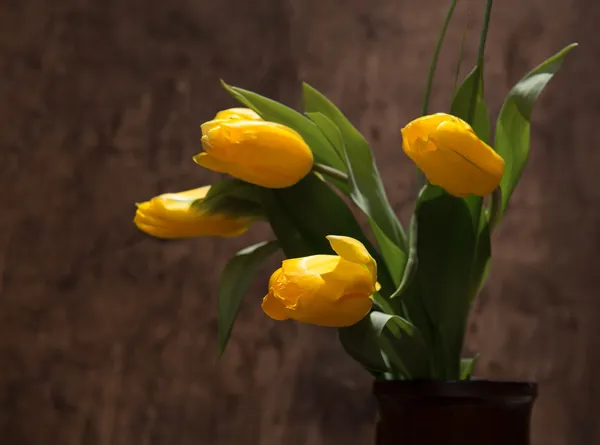 Beautiful yellow tulips in vase — Stock Photo, Image