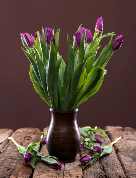 Grono fioletowe tulipany — Zdjęcie stockowe