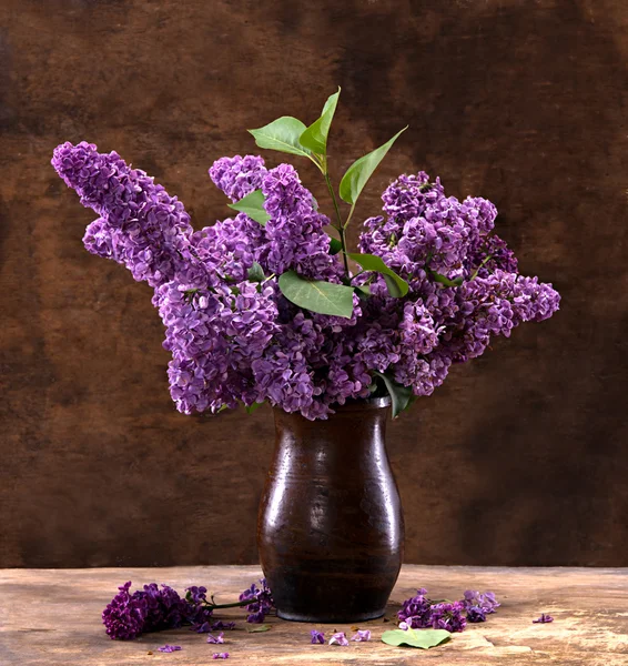 Blooming branches of lilac — Stock Photo, Image