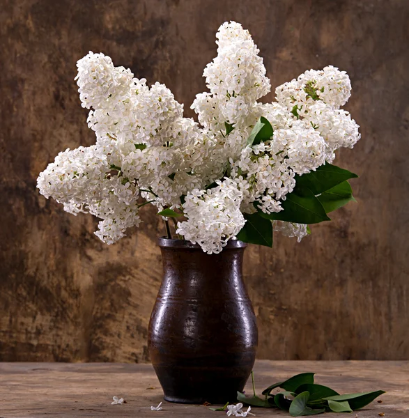 Ramos floridos de lilás no vaso — Fotografia de Stock