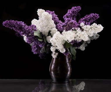 Eflatun çiçek dalları