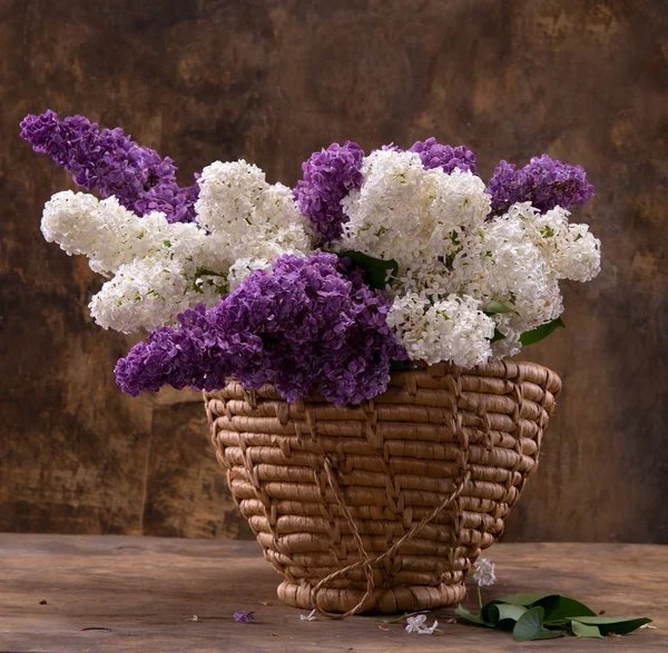Ramos floridos de lilás — Fotografia de Stock