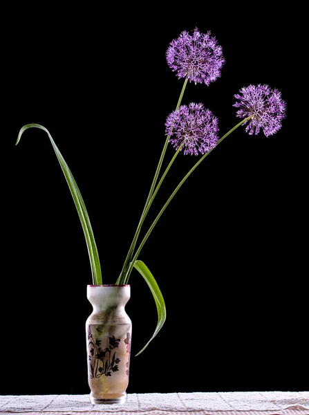 Σκόρδο ιώδη λουλούδια στο βάζο — Φωτογραφία Αρχείου