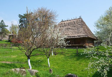 Ukrayna köy evi