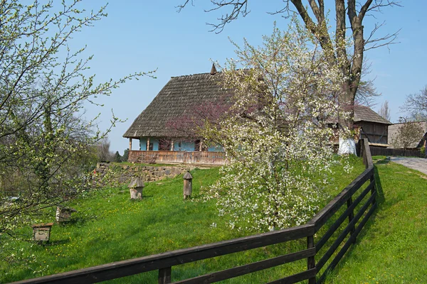 Деревенский дом на Украине — стоковое фото