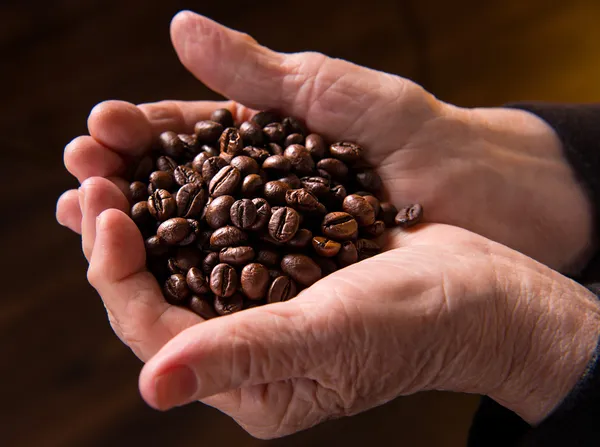 Gamle kvinde hænder holder kaffebønner - Stock-foto