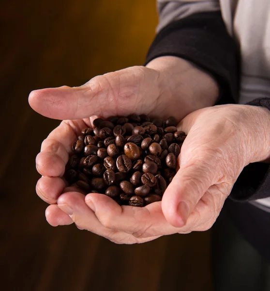 老女人手中持有的咖啡豆 — 图库照片