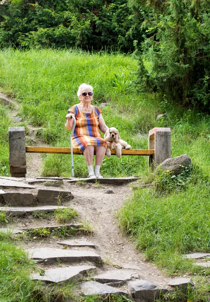 Yaşlı bir kadın ve köpeğini bir bankta oturan — Stok fotoğraf