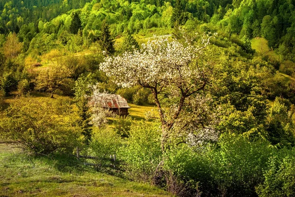 Dağlarda eski bir ev — Stok fotoğraf