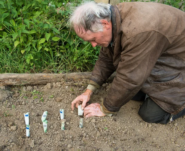 Agricultor plantando dinero —  Fotos de Stock