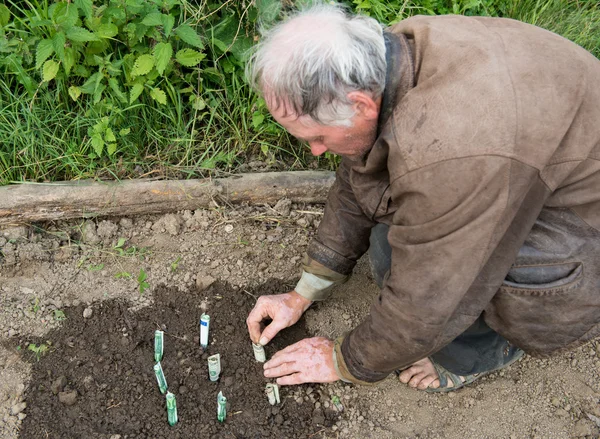 Agricultor plantando dinheiro — Fotografia de Stock