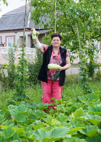 Mujer mostrando calabazas de médula —  Fotos de Stock