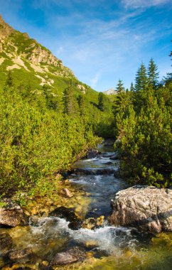 Slovakya yüksek tatras nehirde dağ