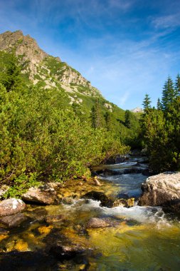 Slovakya yüksek tatras nehirde dağ