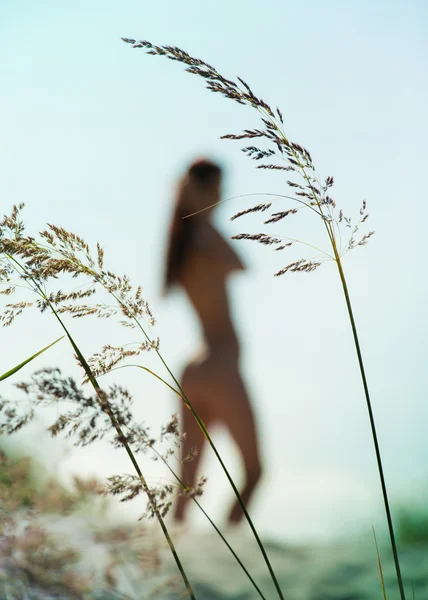 Silhouette de femme nue — Photo