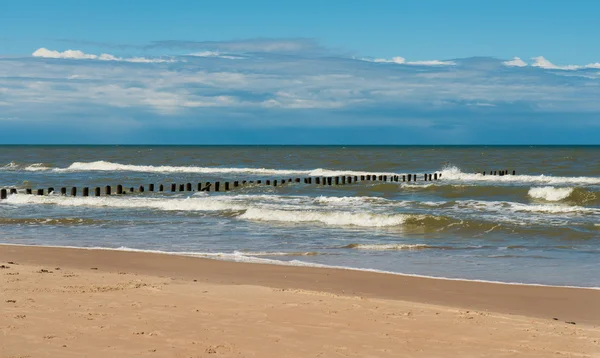 Baltic sea shore — Stock Photo, Image