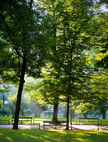 Green city park — Stock Photo, Image