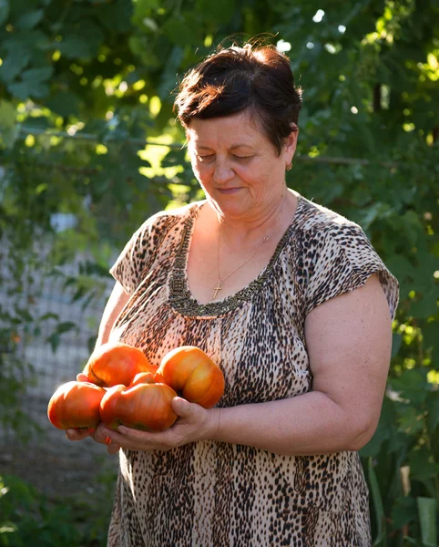 Donna con pomodori in giardino — Foto Stock