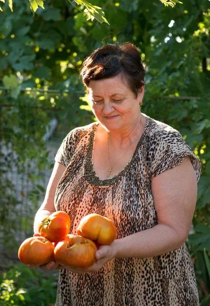 Donna con pomodori in giardino — Foto Stock