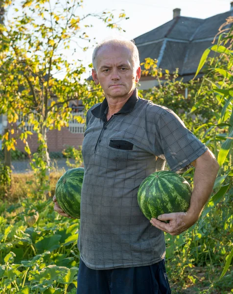 Landwirt hält Wassermelonen — Stockfoto