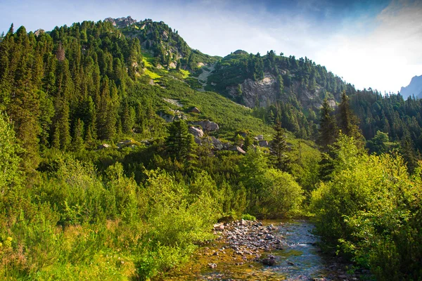 在高塔特拉山区，斯洛伐克河 — 图库照片