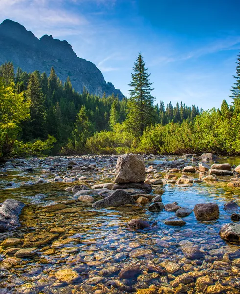 River in High Tatras, Slovakia — Stock Photo, Image