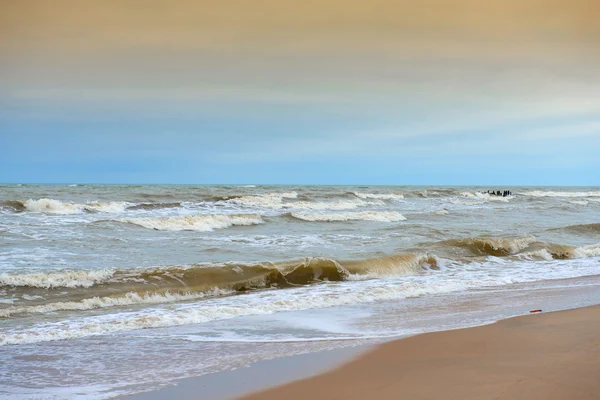 Baltık Denizi kıyısında — Stok fotoğraf