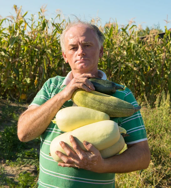 Man with marrow squashes — Stock Photo, Image