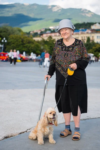 Old woman and american spaniel — Stock Photo, Image