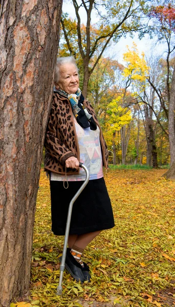 Old woman — Stock Photo, Image