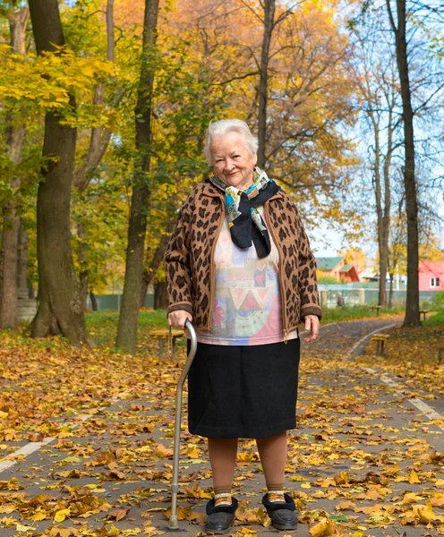 Mulher velha — Fotografia de Stock