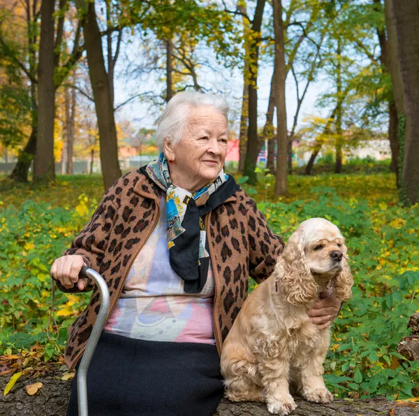 Eski bir köpek ile bir bankta oturan kadın — Stok fotoğraf